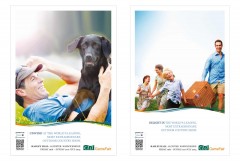 CLA Game Fair, Game Fair, Branding, Advertising Campaign, advert, website design, outdoor